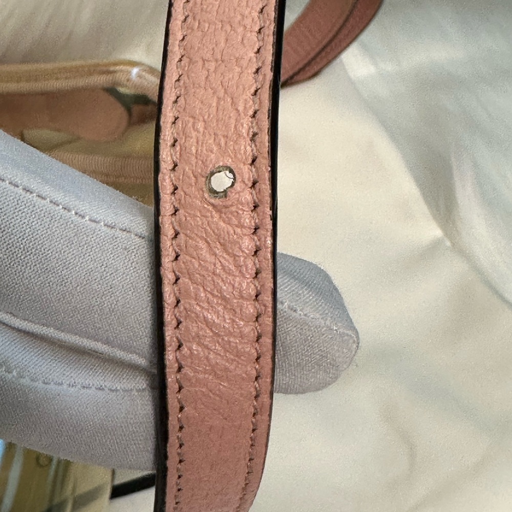 Gucci Pink Clear PVC Crossbody with Web Stripe and Gold Hardware - Picture 14 of 15